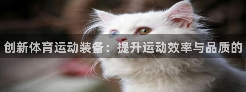 xc体育app官方网站