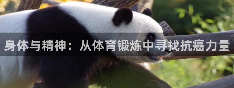 xc体育