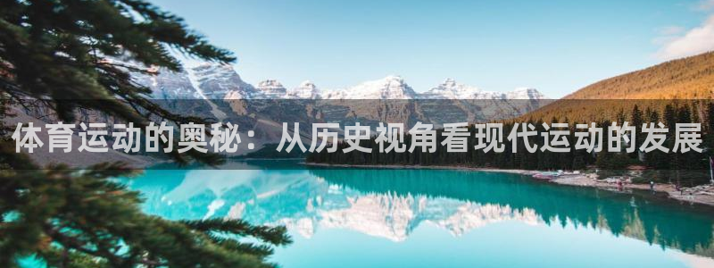 xc体育app官方网站