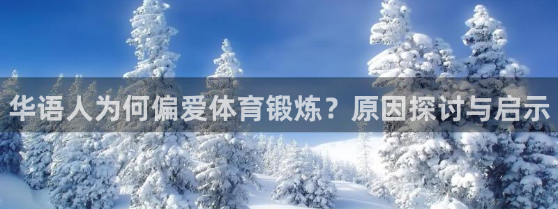 xc体育app官方网站