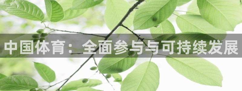 xc体育app官方网站