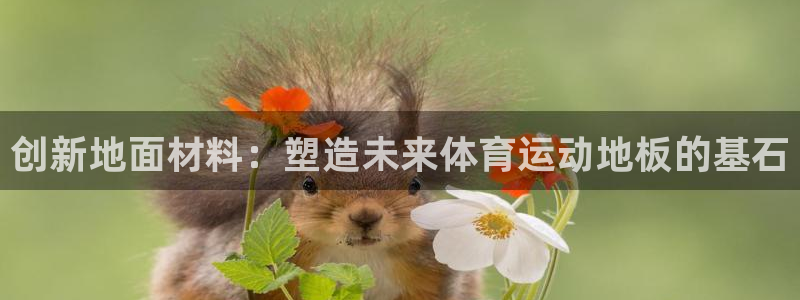 xc体育app官方网站