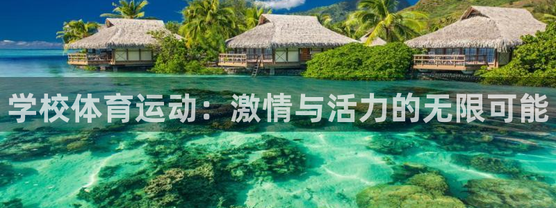 xc体育app官方网站