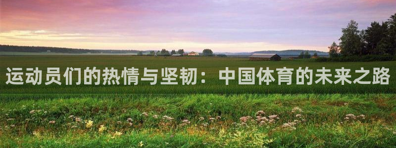 xc体育