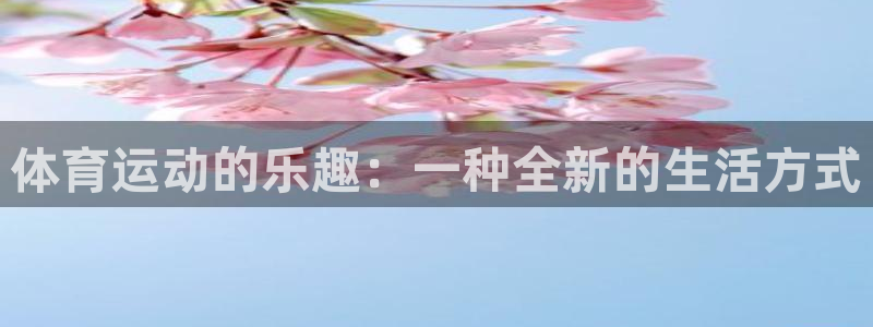 xc体育app官方网站
