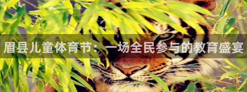 xc体育