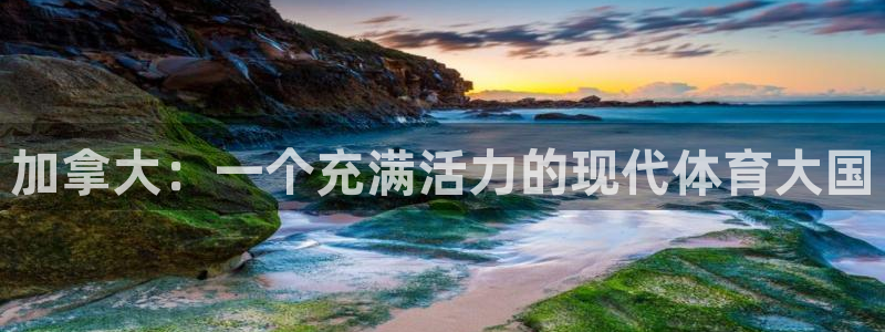 xc体育