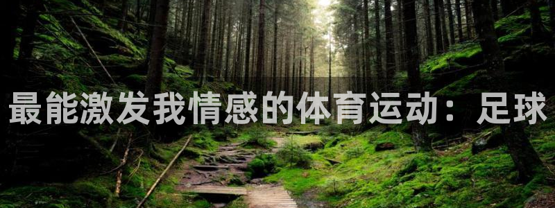 xc体育app官方网站