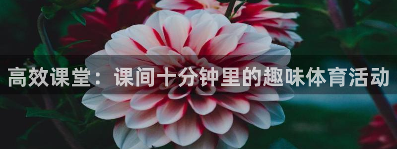 xc体育