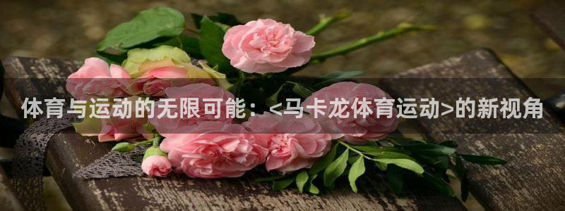 xc体育