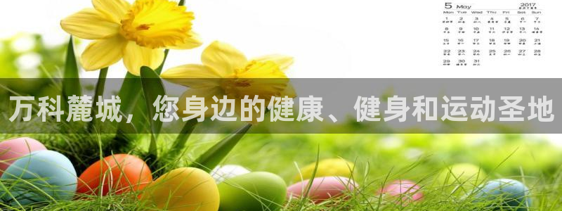 xc体育